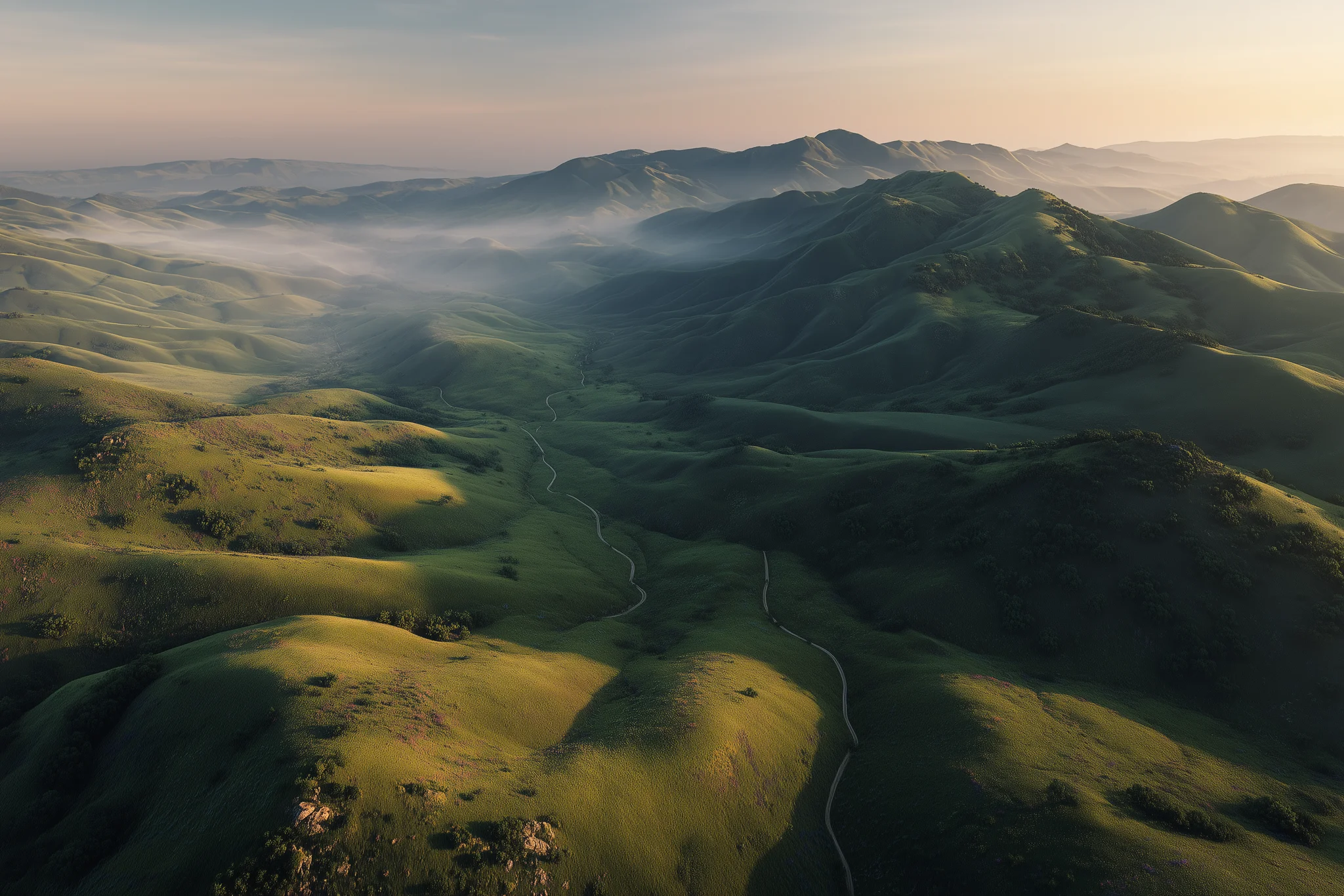 Mountain meadow in the evening light