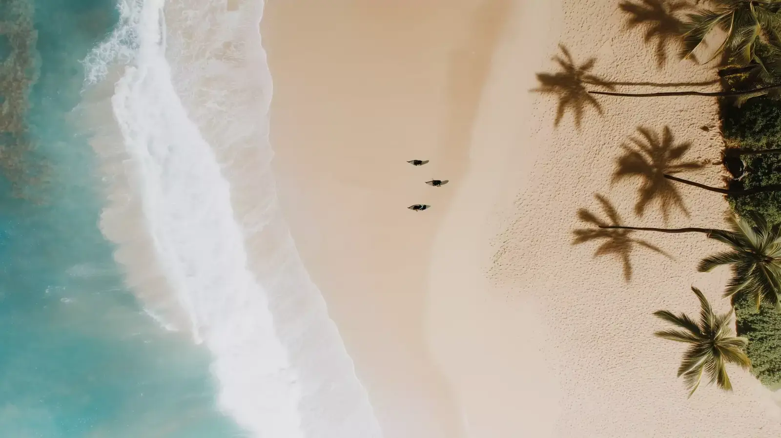 A white beach and clear shallow water seen from above