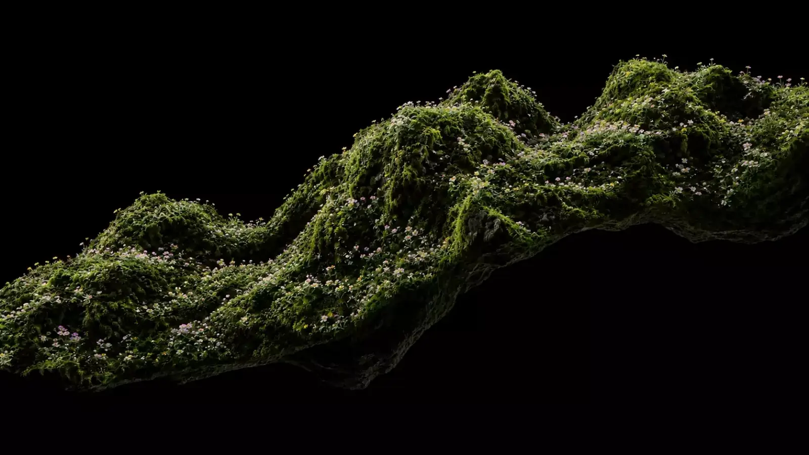A mossy ridge picked out of the dark